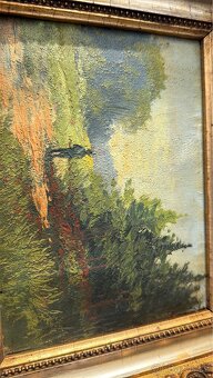 Obrazy a fotografie - 7