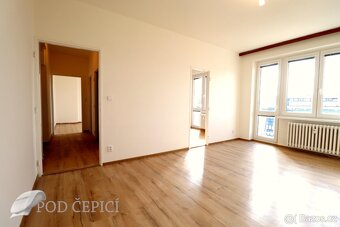 Pronájem bytu 2+1, 3x lodžie a sklep, 60m2, Neumannova, Brno - 7