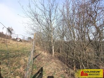 Lysice, zahrada, 2519 m2 – pozemek, ev.č. E3367BL030 - 7