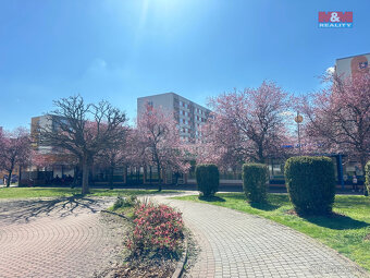 Pronájem obchod a služby, Mladá Boleslav, ul. Krátká - 7