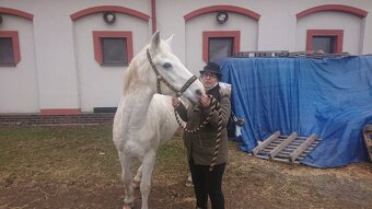 Opatrování domácích mazlíčků-venčení - 7