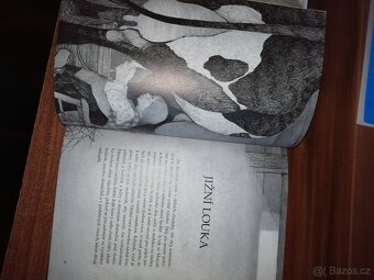 Astrid Lindgrenová knihy Jižní louka- nová, Bratří lví srdce - 7