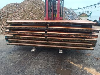 Jilm horský ,,stolové desky,, - 7