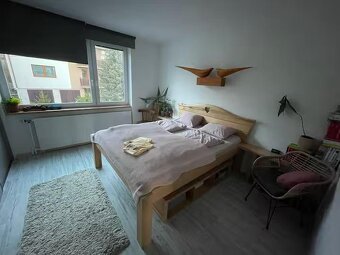 Řadový dům, holubka Nové Město na Moravě - 7