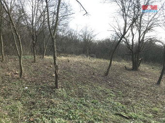 Prodej zahrady, 400 m², Postoloprty - 7
