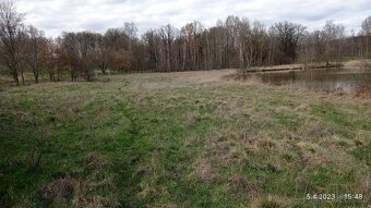 Františkovy Lázně - pronájem louky 7611 m2 - 7