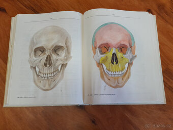 Legendární učebnice Radomíra Čiháka, Anatomie 1 - 7