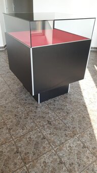Zlatnická vitrína - 7