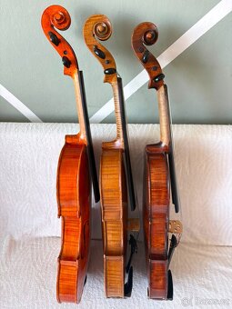Tři staré viola - 7