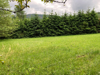 Šumava - Sušice pro výstavbu 2 chat pozemek na prodej - 7