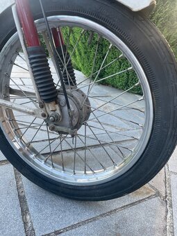 Babeta - 7