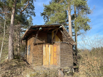 Šumava, pozemek 220 m2 s trampskou chatkou -glamping - 7