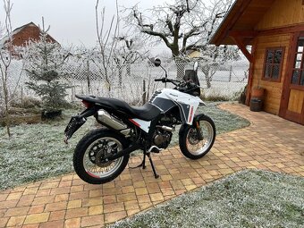 Malaguti Dune 125 ABS - 7