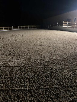 Ustájení koní - Plzeň - jih - 7