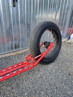 Kostka raptor max dog - 7