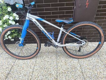 Rock Machine Thunder - 7