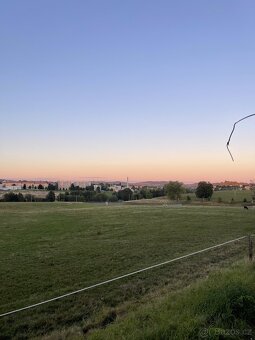 HŘÍBÁRNA NA EDENU - 7