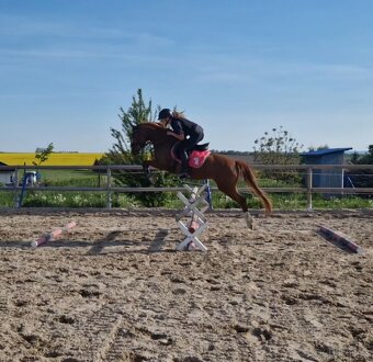 Pony B do sportu - 7