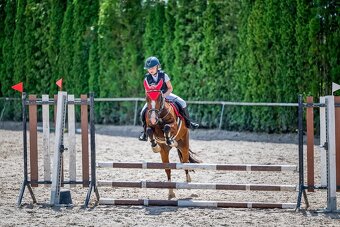 Náš Princ hledá svoji princeznu - 7