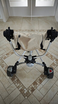 Golfky Quinny Zapp - 7