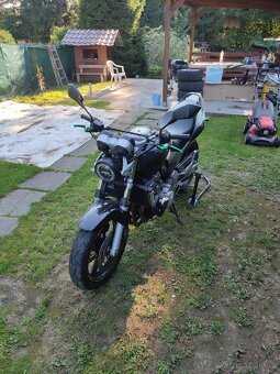 Honda Hornet 600 - 7