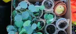 Svatební výzdoba. Cedule,napis LOVE, ram na fotografie - 7