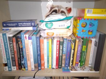 Prodám super knihy z knihovny , ceny od 50 Kč   - 7