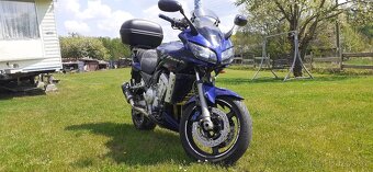 FZS 1000 - 7