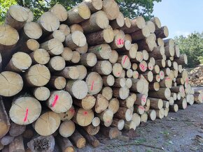 SUCHÉ Plivové dřevo 990Kč/prms - 7