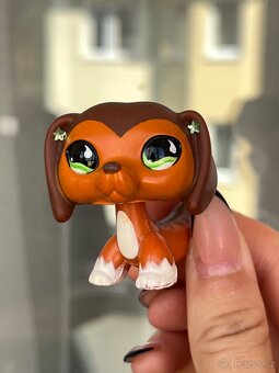 Lps Savvy jezevčík - 7