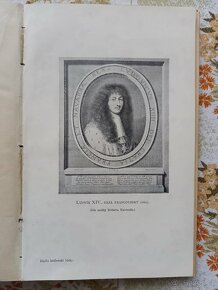 Kniha Idyla královské lásky autorka D. Dunckerová - 7