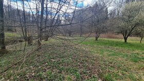 Staveb pozem údolí Javorné-Ondřejovice - Rejviz -u potoka - 7
