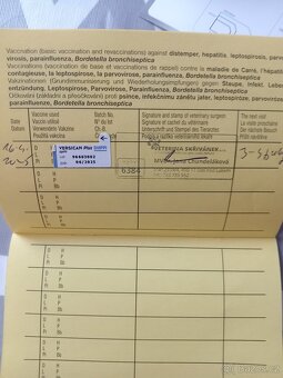 Prodám - 7