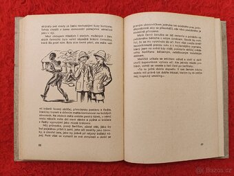 V ŘÍŠI KROKODILŮ A VOLAVEK - Georg Strack - 7