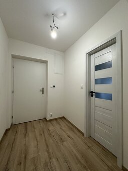 Moderní a nadstandardně zrekonstruovaný byt 3+kk (66 m²) - 7