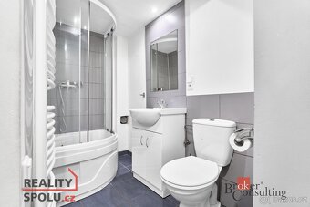 Prodej, domy/rodinný, 100 m2, Žižkova 1203, 36301 Ostrov, Ka - 7