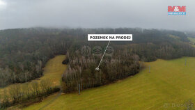 Prodej lesa, 12778 m², Česká Kamenice - Kerhartice - 7
