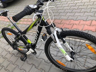 Kolo Scott. Junior 24 - 7