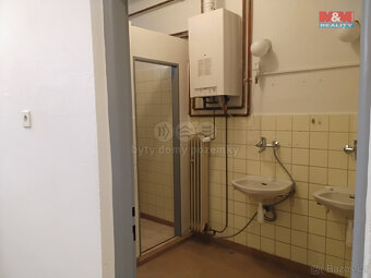Pronájem obchodní či výrobní prostory, 201 m², Malenice - 7
