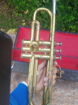 Trumpeta cadet - 7