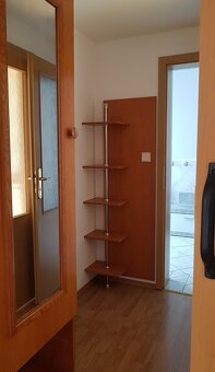 Pronajmu byt 2kk v Židlochovicích - 7