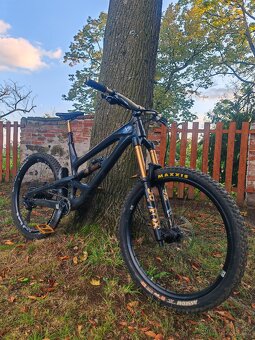 Yt capra - 7