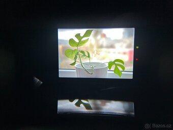 Canon AE-1 Program + Canon FD 50mm f/1.8 - 7