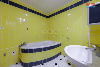 Pronájem bytu 2+1, 52 m², Karlovy Vary, nábřeží Jana Palacha - 7