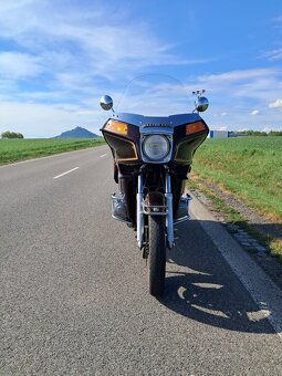 Goldwing - 7