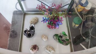 Aqaurium tank CR - 320 + vybavení - 7