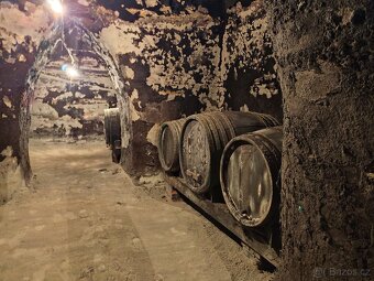 Pronájem, vinný sklep s lisovnou, Nový Šaldorf - 7