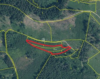 Lesní pozemky k.ú. Růžďka - 7