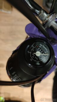 Babetta stella - 7