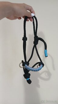 Hobby horse - 7
